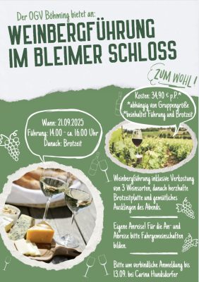 Weinbergführung Bleimer Schloss Weinbergführung Bleimer Schloss